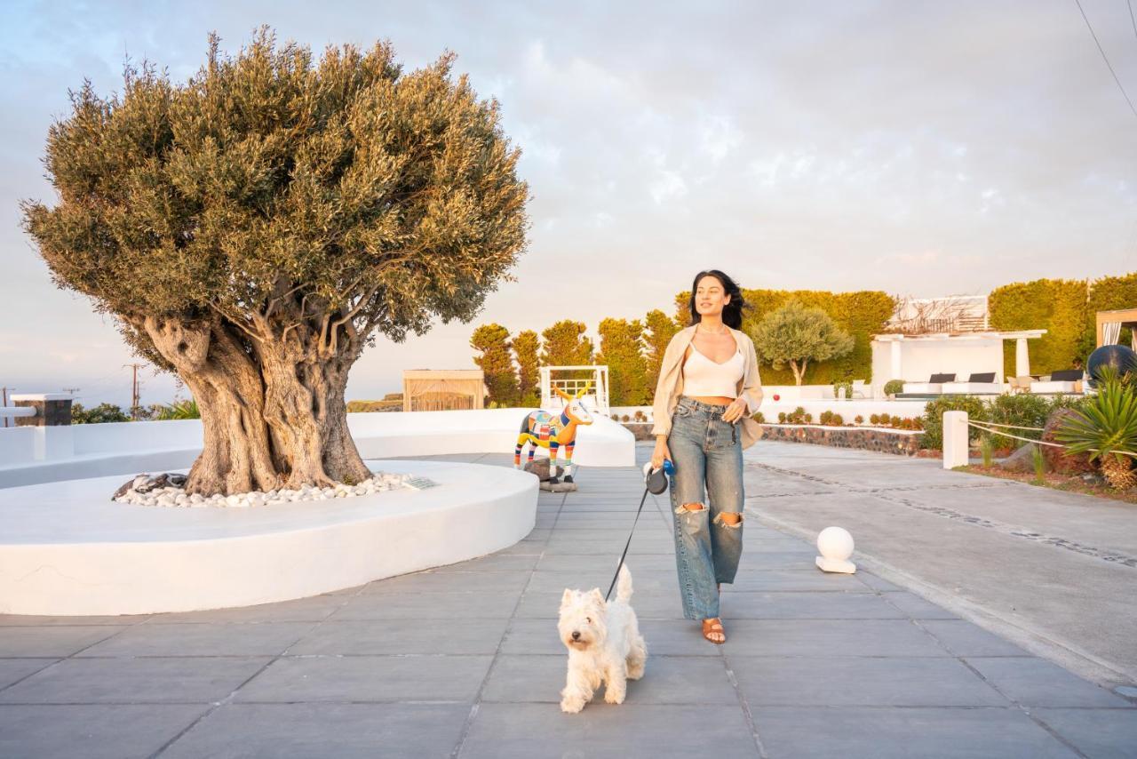 Oia Sunset Villas Kültér fotó